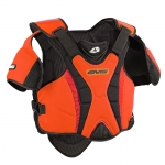 Snow Vest